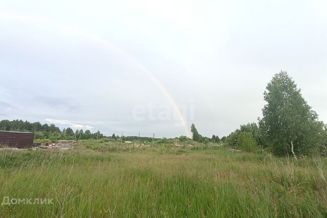 село Тюнево фото