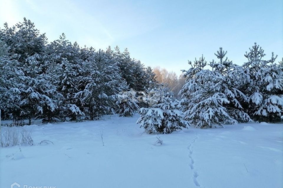 земля р-н Нижнетавдинский село Тюнево фото 4