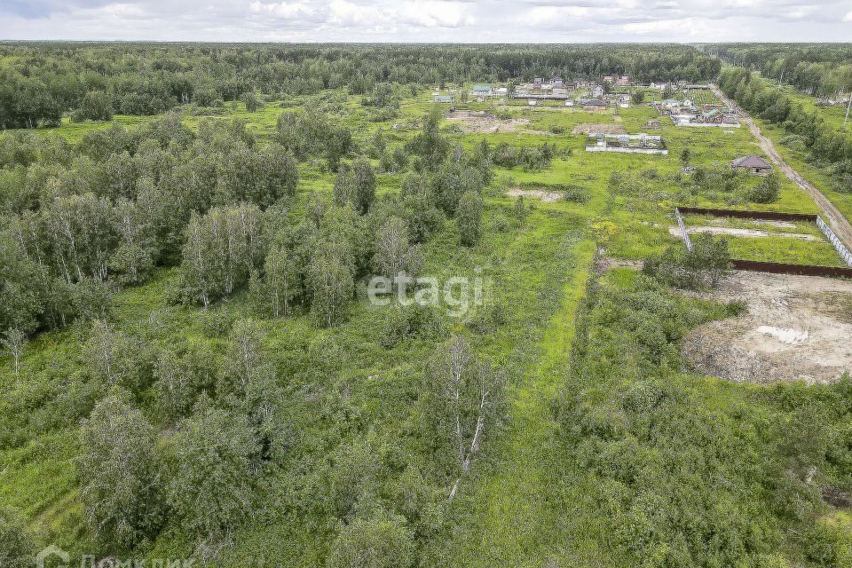 земля р-н Нижнетавдинский село Тюнево фото 10