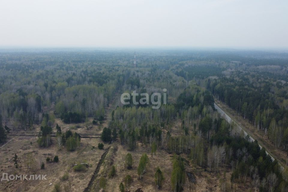 земля р-н Нижнетавдинский с Тюнево ул Западная фото 8