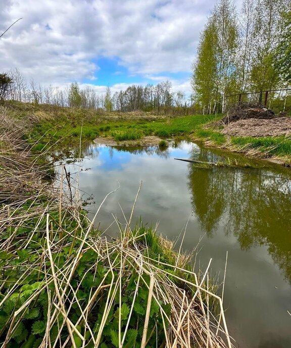 земля городской округ Наро-Фоминский д Алексеевка Апрелевка фото 26