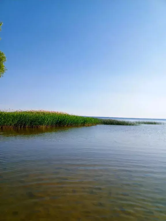 дом р-н Переславский с Купань ул Лесная 1г Переславль-Залесский фото 6