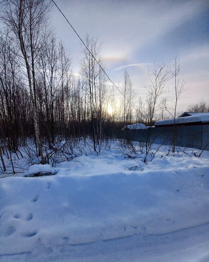 земля городской округ Богородский г Ногинск снт Ветеран Воровского фото 13