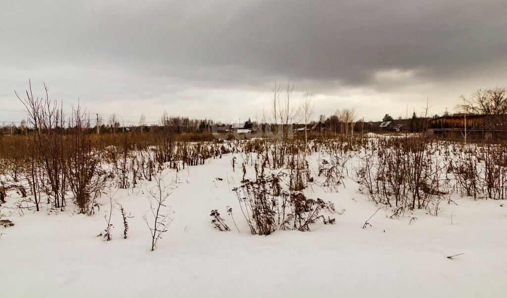 земля Заводоуковск, СНТ Раздолье фото 3