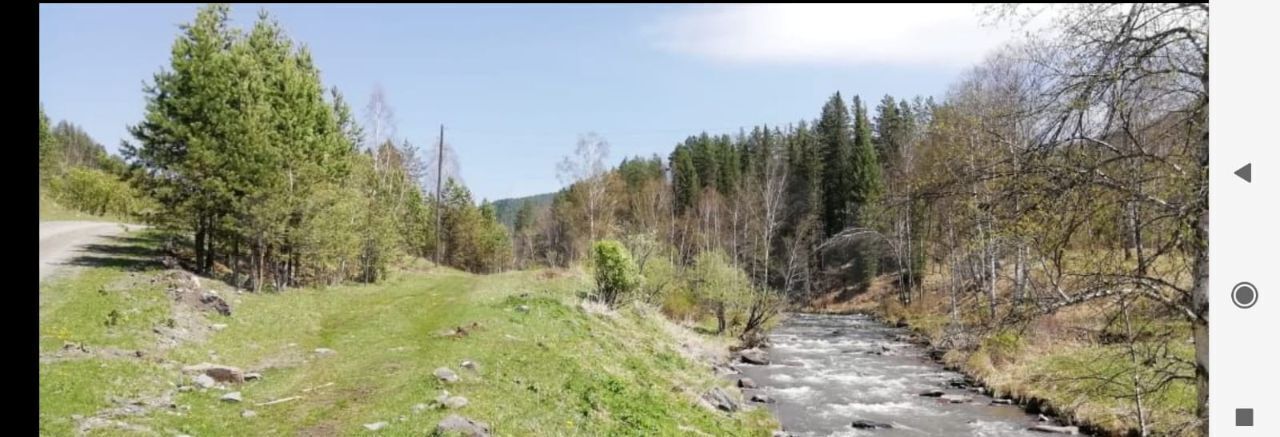 земля р-н Чемальский с Нижний Куюм ул. Павла Кучияк фото 7