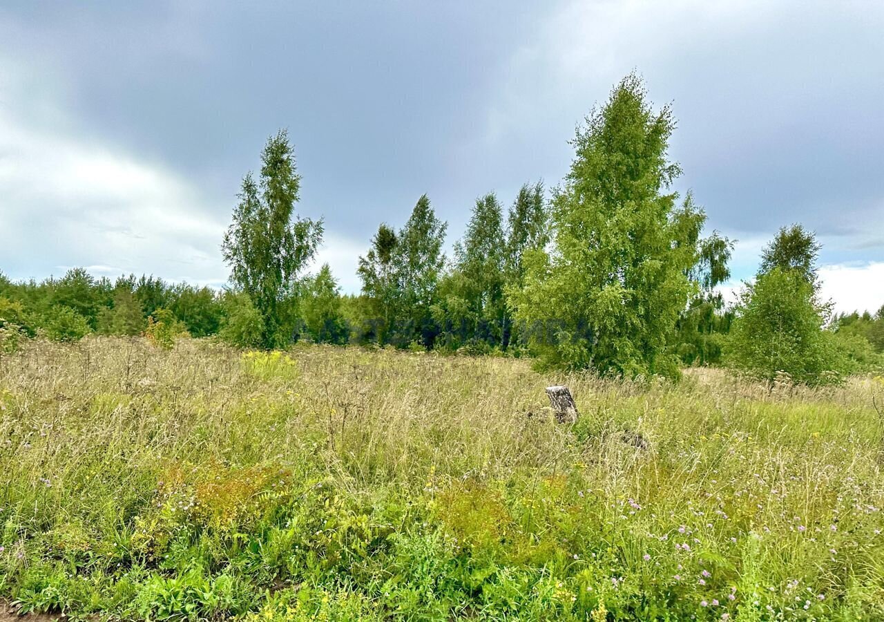 земля р-н Переславский с Городище ул Садовая Переславль-Залесский фото 10