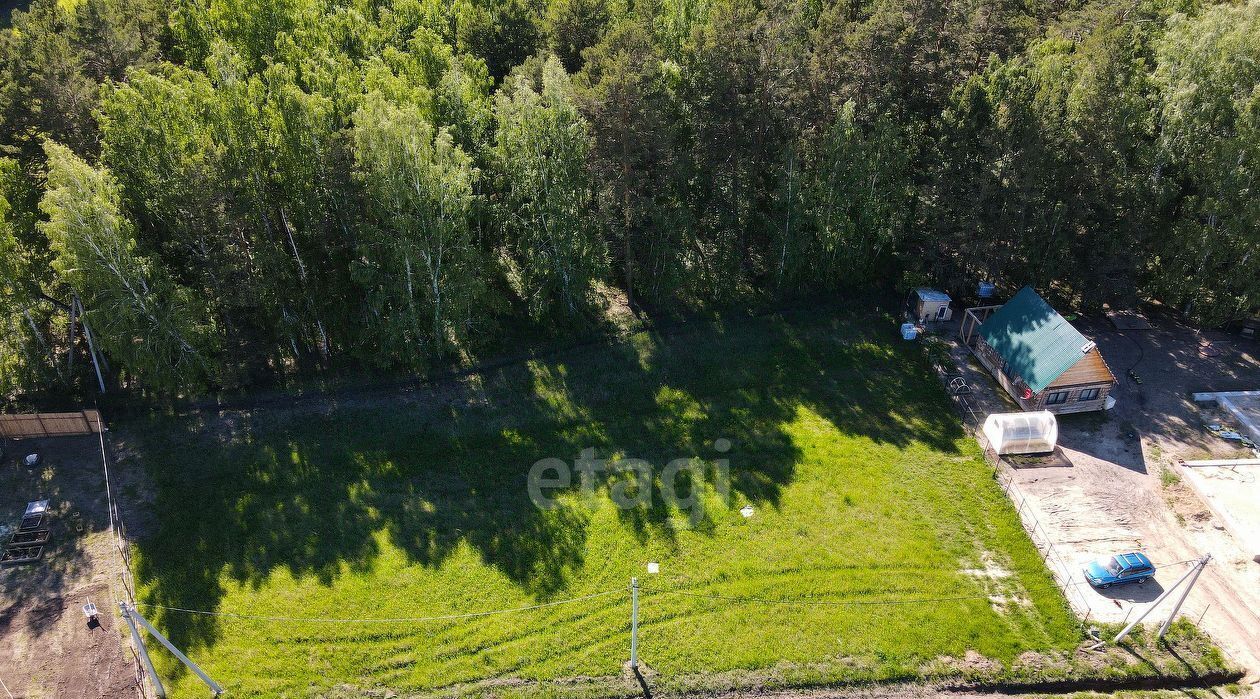 земля р-н Тюменский с Перевалово ул Дачная фото 13