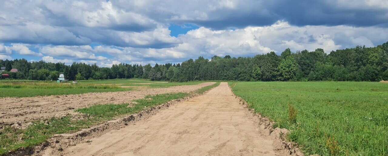 земля городской округ Пушкинский п Ашукино коттеджный пос. Калистово, 248 фото 3