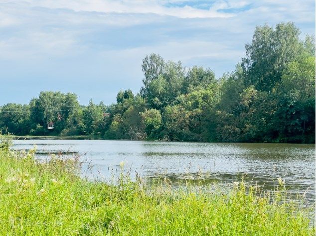 земля городской округ Сергиево-Посадский ДНП Спасс-Торбеево фото 1