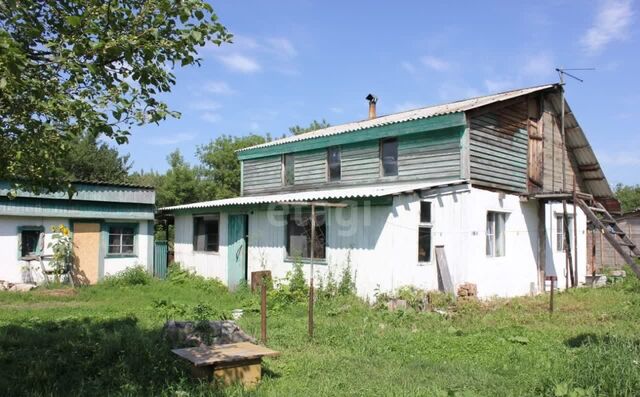 Городок, Смоленский р-н, Белокуриха фото