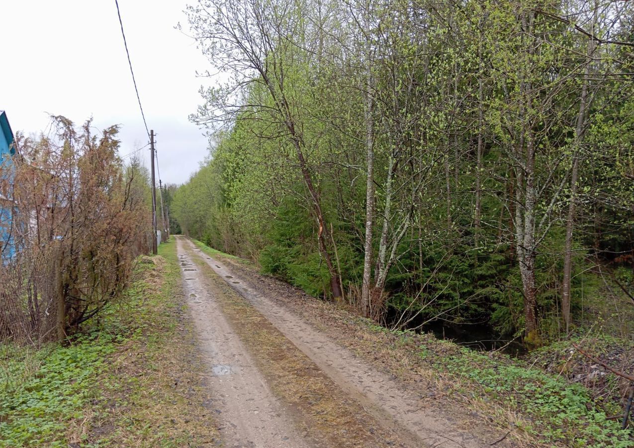 земля городской округ Талдомский г Талдом 86 км, 106, садовое товарищество Рябинка-2, Дмитровское шоссе фото 2