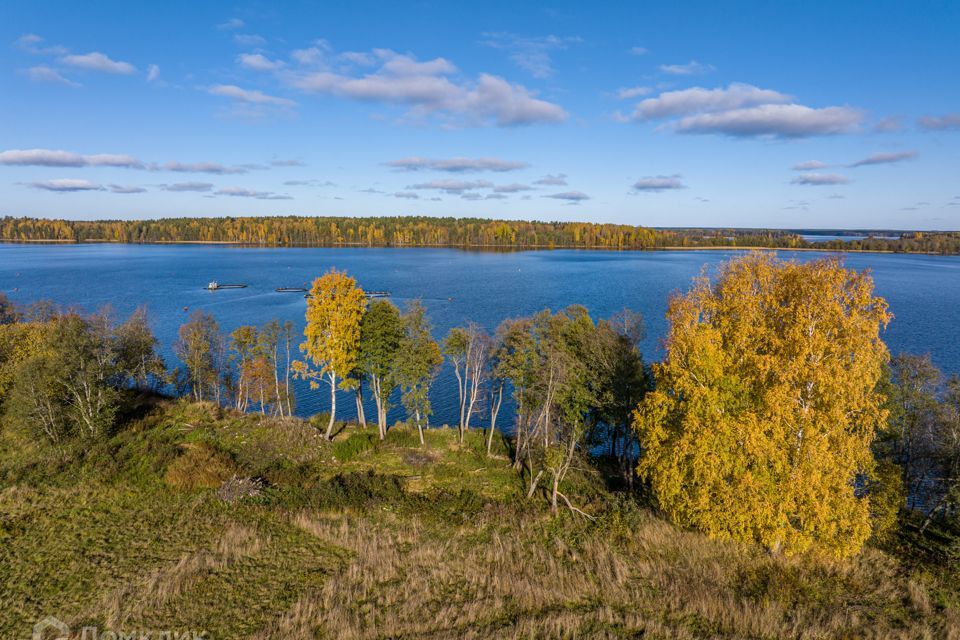 земля р-н Приозерский фото 8