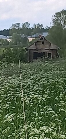 Каминское сельское поселение, Родники фото