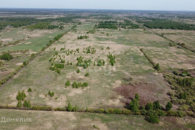 городской округ Тюмень, садовое товарищество Лаванда фото