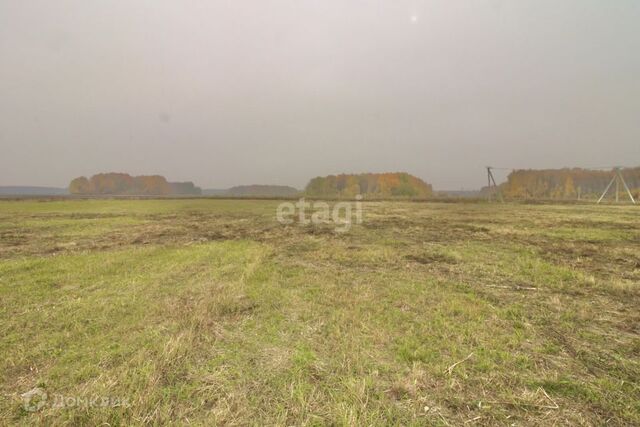 село Горьковка фото