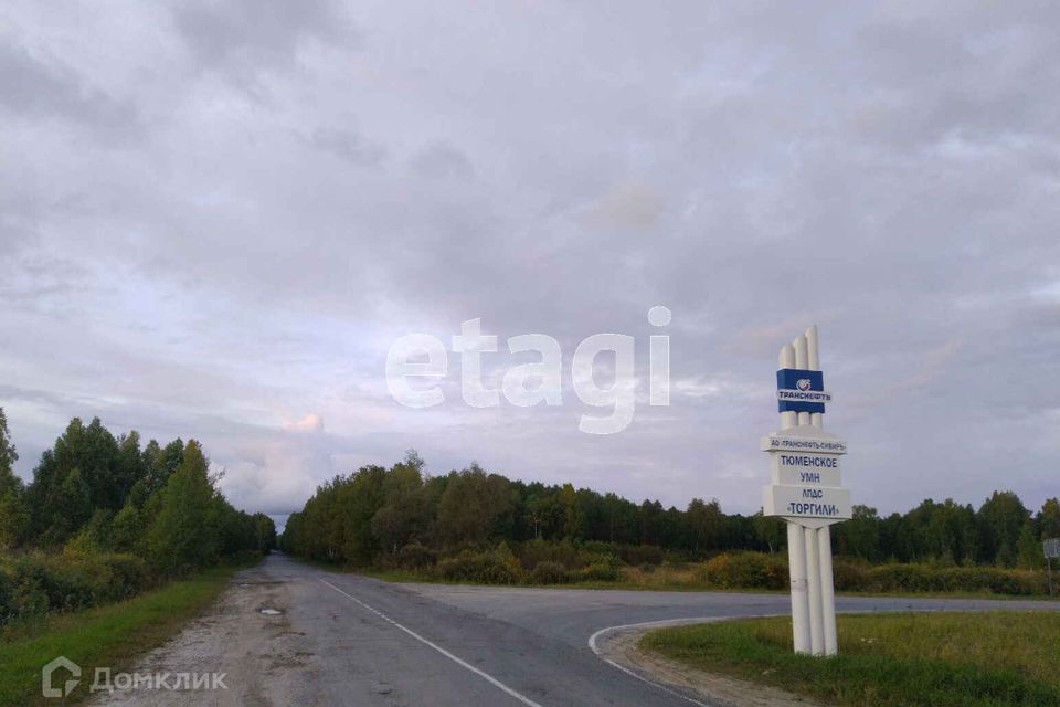 земля р-н Нижнетавдинский посёлок Торгили фото 1