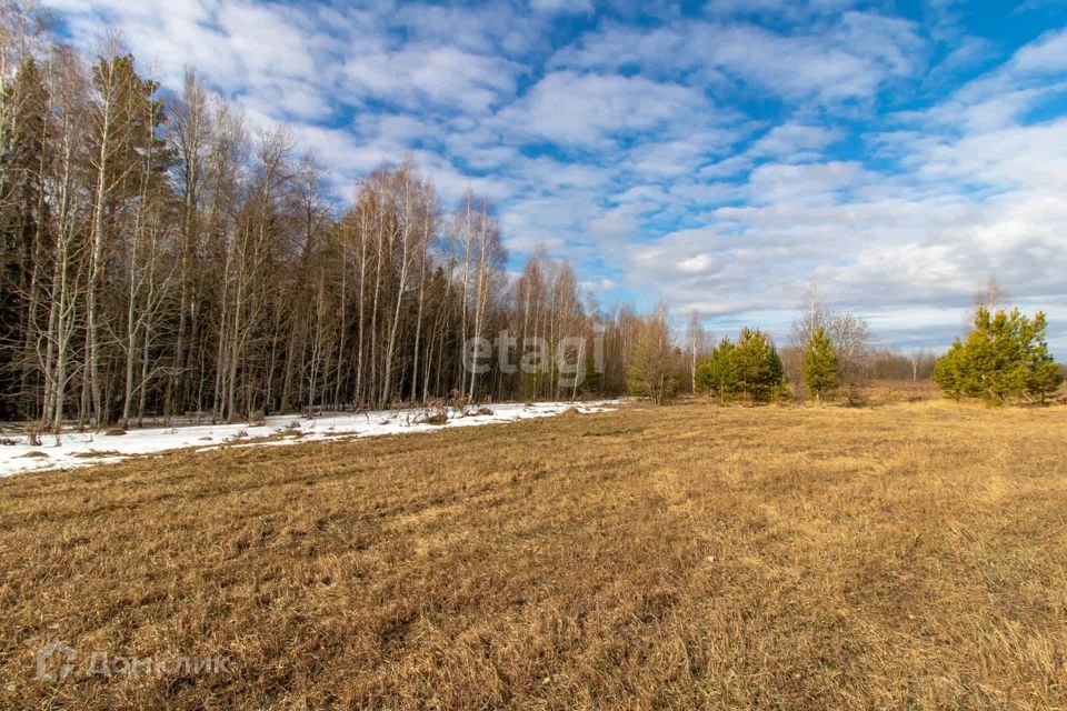 земля р-н Нижнетавдинский фото 4