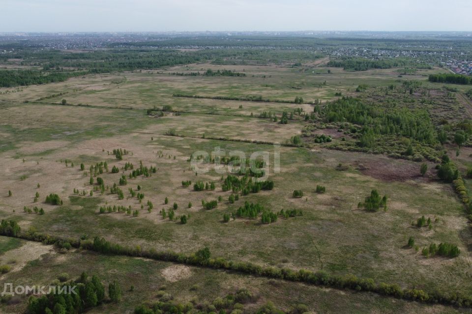 земля г Тюмень городской округ Тюмень, садовое товарищество Лаванда фото 3