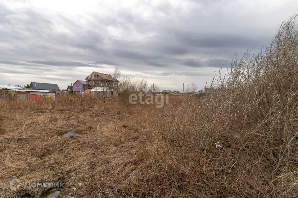 земля г Тюмень снт Якорь ул Липовая городской округ Тюмень фото 4