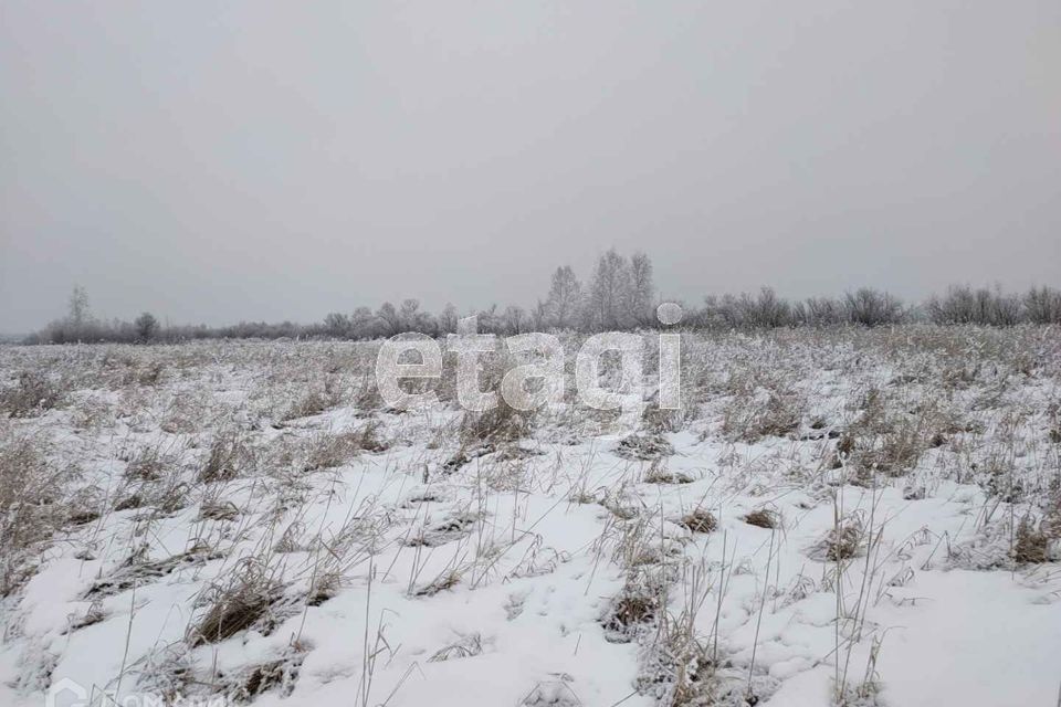 земля г Тюмень городской округ Тюмень, садовое товарищество Лаванда фото 9