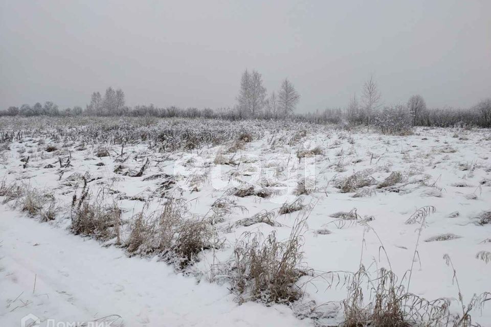 земля г Тюмень городской округ Тюмень, садовое товарищество Лаванда фото 9