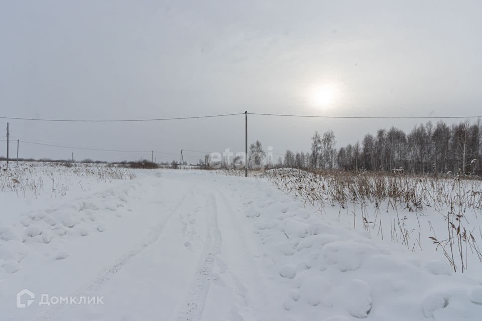 земля р-н Тюменский село Червишево фото 6