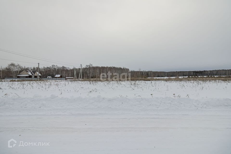 земля р-н Тюменский село Кулига фото 6