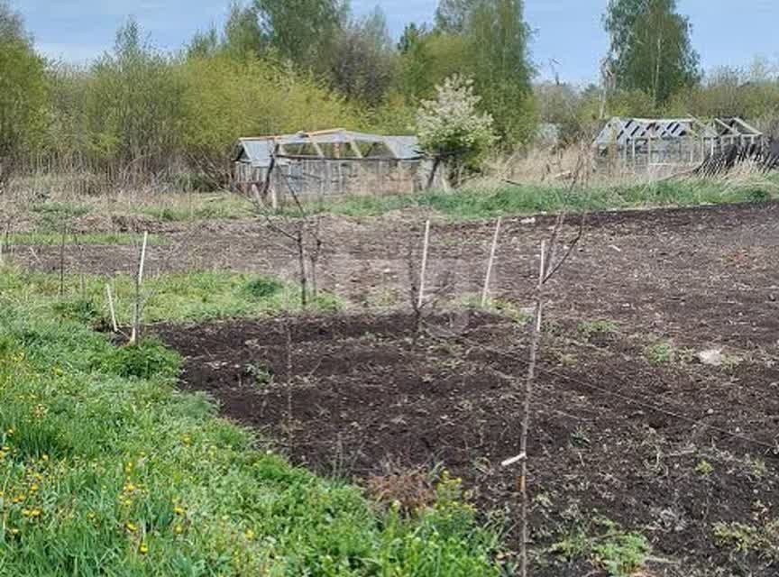 земля р-н Тюменский п Новотарманский ул Дачная Новотарманское сельское поселение фото 6