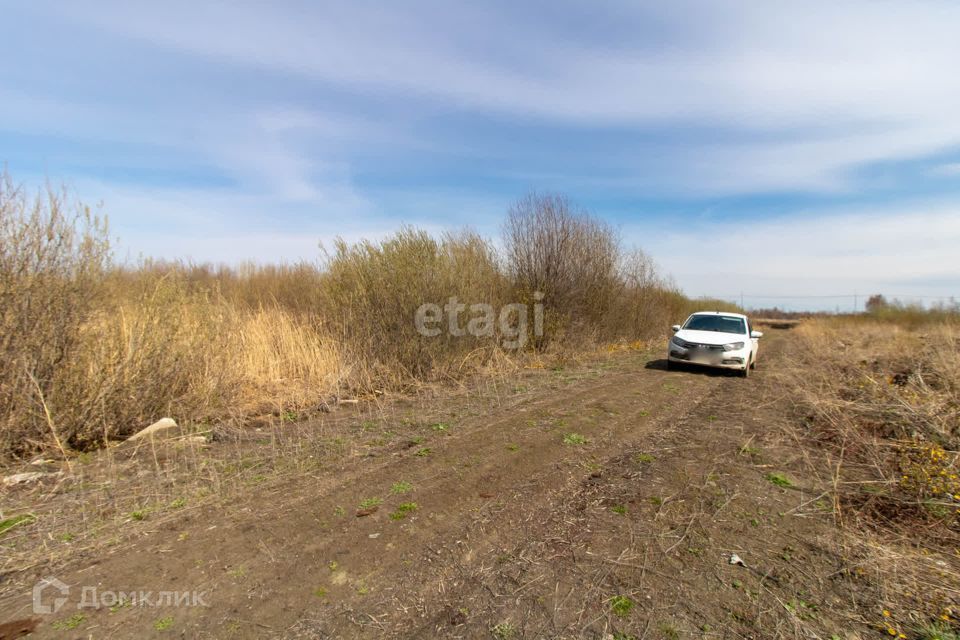 земля г Тюмень снт Матрешка городской округ Тюмень, Елисеевская улица фото 6