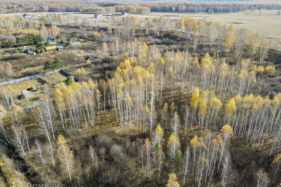 земля р-н Нижнетавдинский садовое товарищество Моторостроитель фото 9