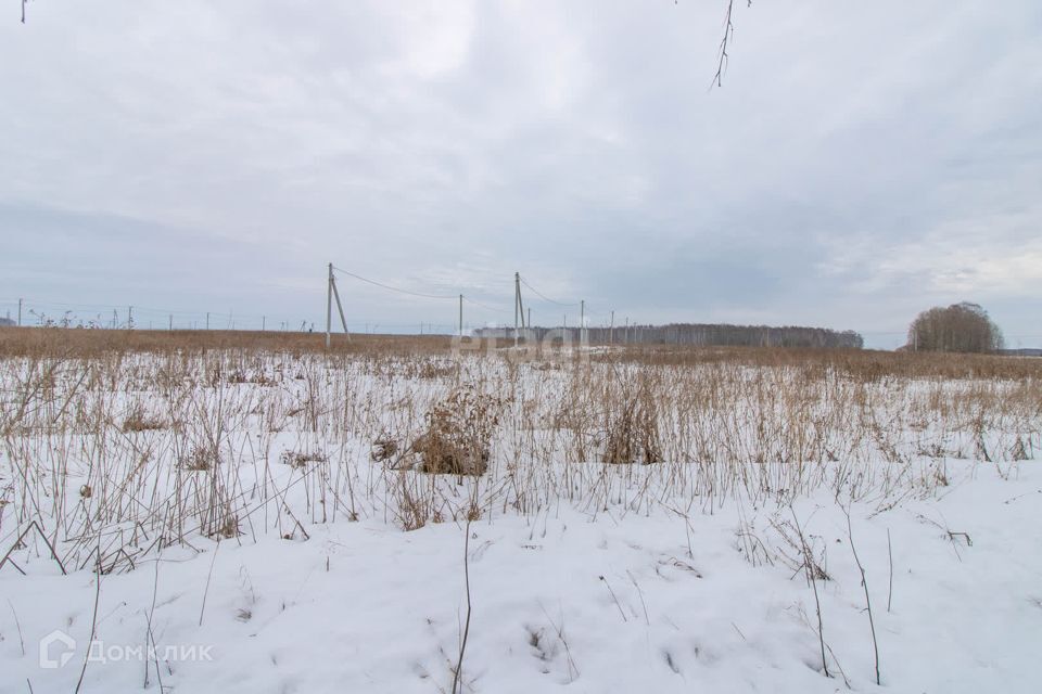 земля р-н Нижнетавдинский деревня Малый Хутор, Дорожная улица фото 8