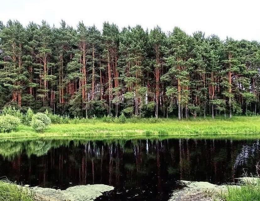 дом р-н Ярковский с Караульнояр ул Пионерская фото 10