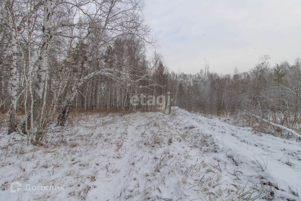 земля г Тюмень ул Рублевская городской округ Тюмень фото 5