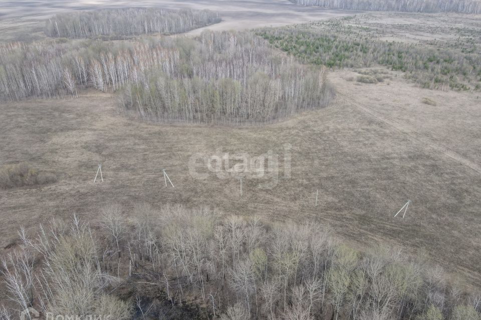 земля р-н Тюменский село Горьковка фото 8