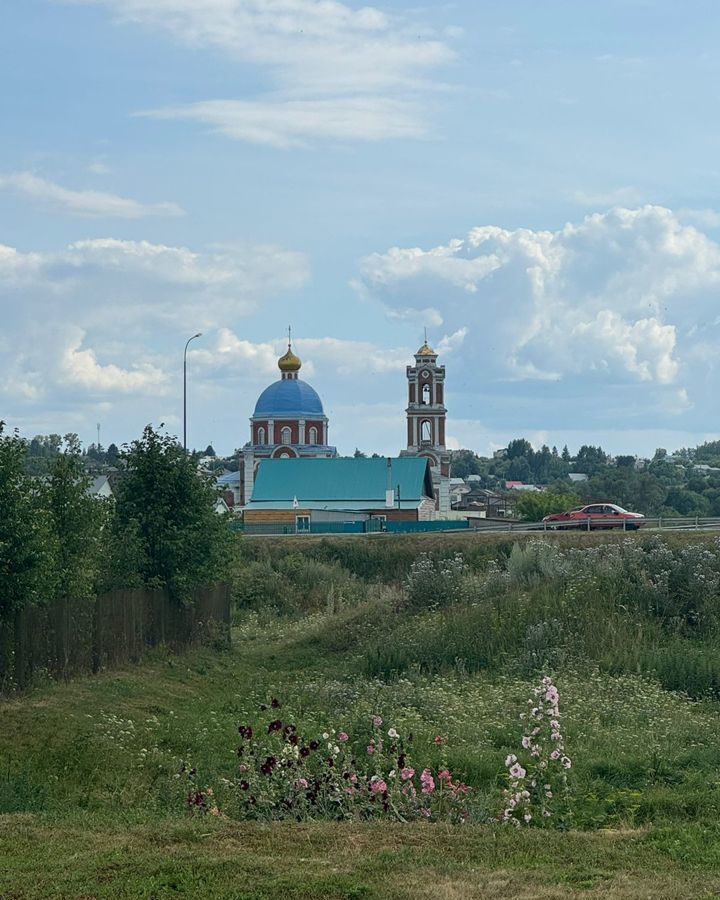 земля р-н Рыбно-Слободский с Анатыш ул Северная Рыбная Слобода, Анатышское сельское поселение фото 9