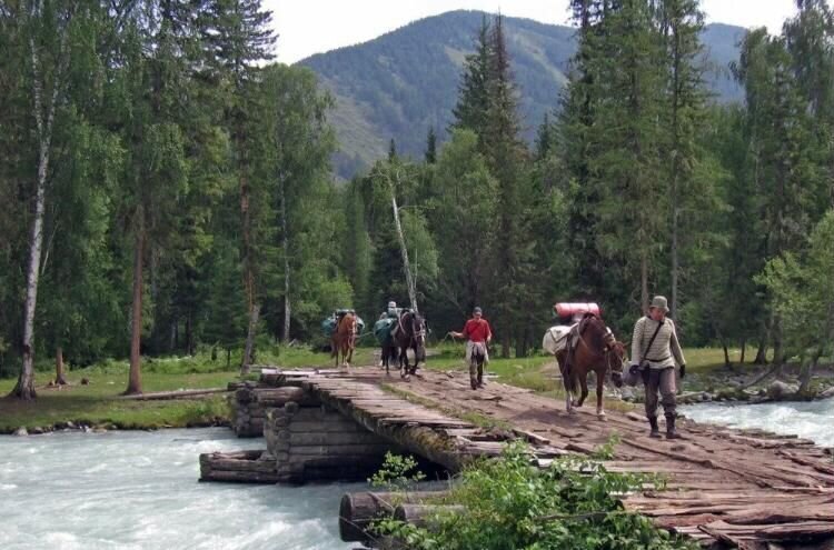 земля р-н Чойский с Кузя Горно-Алтайск фото 5