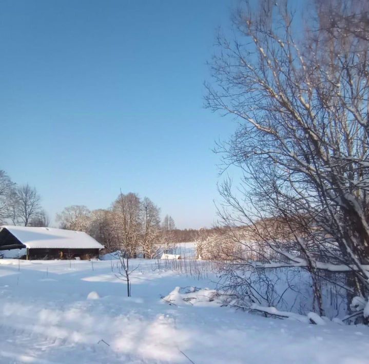 земля р-н Пустошкинский д Копылок Пригородная волость фото 8