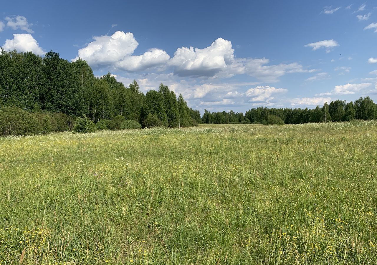 земля р-н Новгородский рп Пролетарий Савинское сельское поселение фото 4