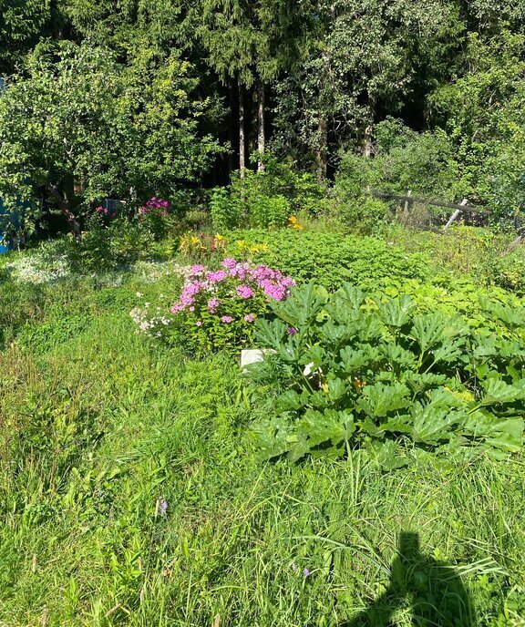 дом городской округ Богородский г Ногинск снт Искра Дачная улица фото 15