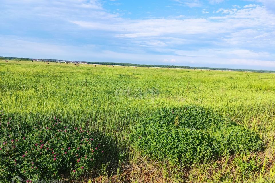 земля г Тюмень ул Олега Антонова городской округ Тюмень фото 7