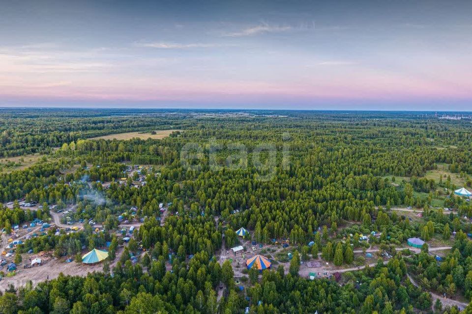 земля р-н Тюменский дачный посёлок Ежевика фото 6