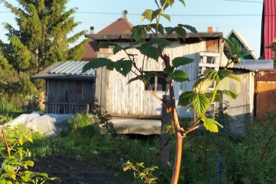 земля р-н Тюменский рп Боровский Торфяная Рассвет с/о, 1 фото 5