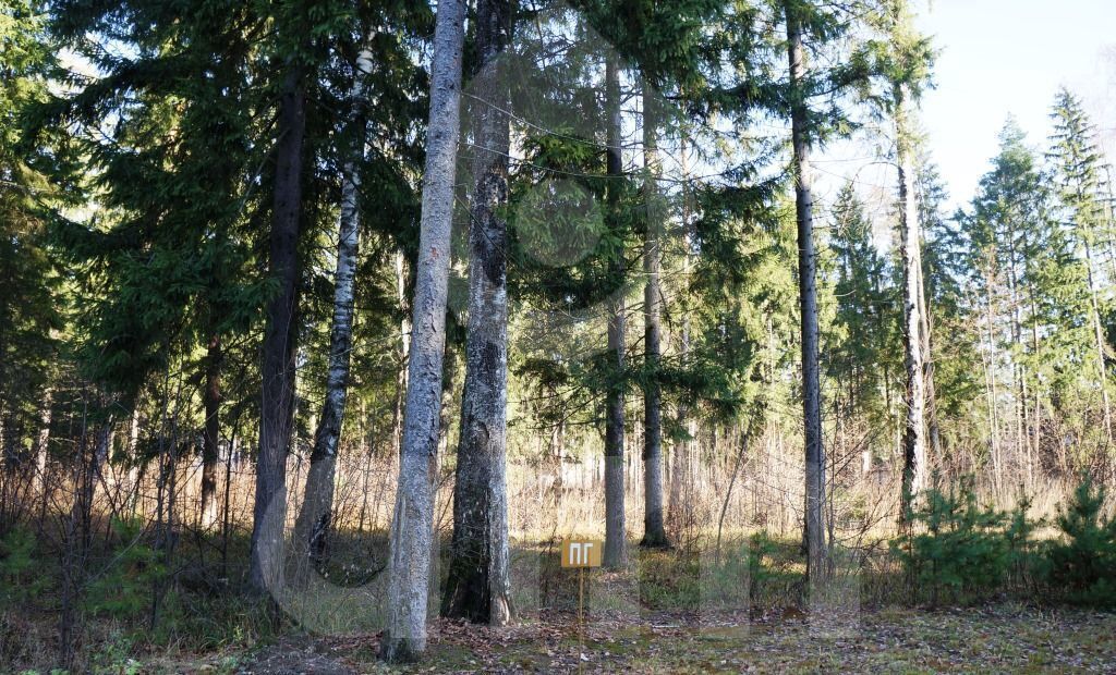 земля городской округ Одинцовский п Николина Гора коттеджный пос. Сосновый Бор, Живописная ул., 237, Красногорск фото 3