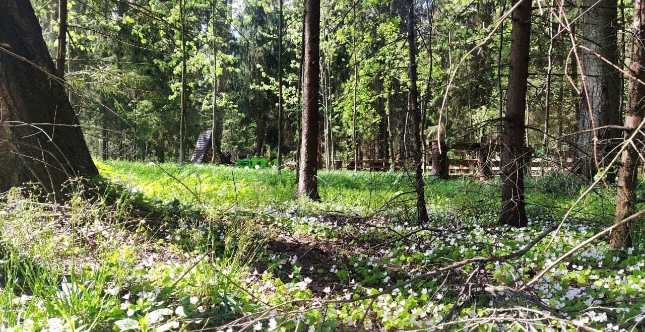 земля городской округ Солнечногорск рп Менделеево коттеджный пос. Никольское-Лесное, г. о. Солнечногорск фото 1