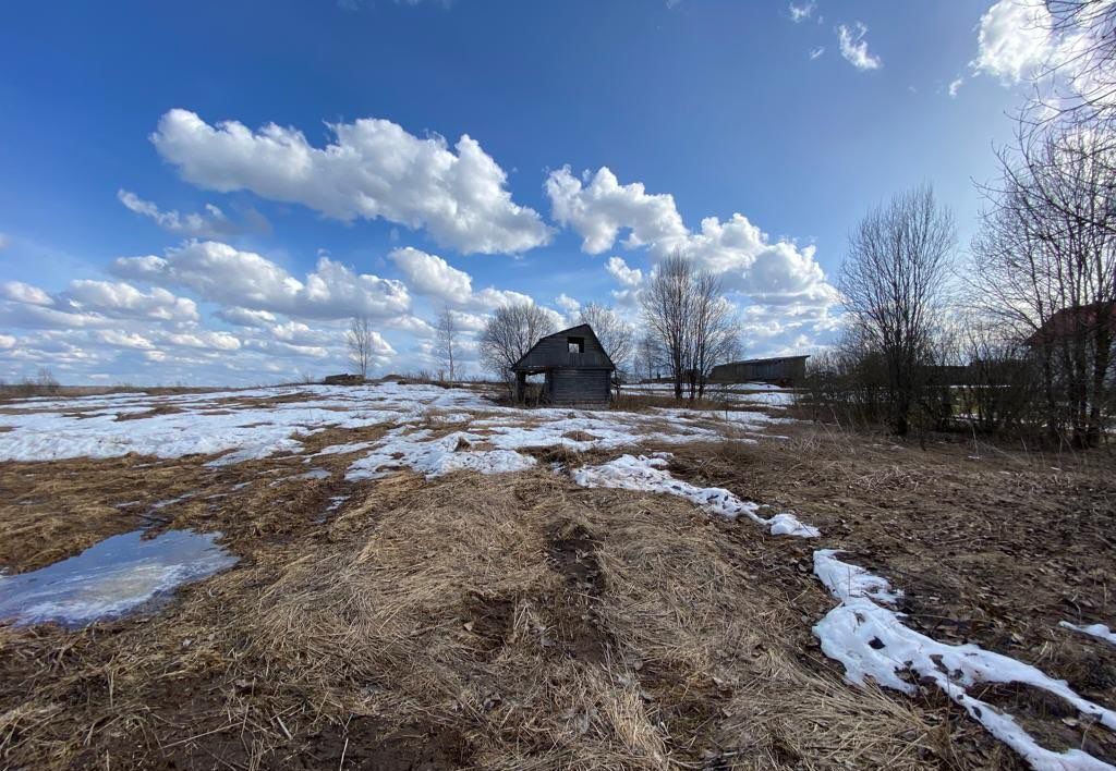 земля р-н Торопецкий д Шатры Торопец фото 4