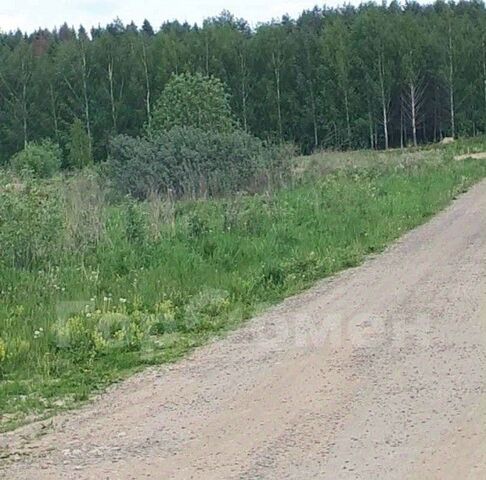 ул Волшебная Медведково фото