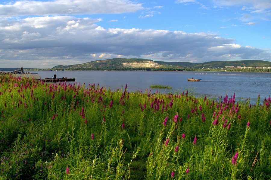 дом р-н Волжский п Гаврилова Поляна ул Набережная 63 фото 3