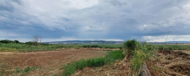 тер СПК инвалидов Ручеек фото