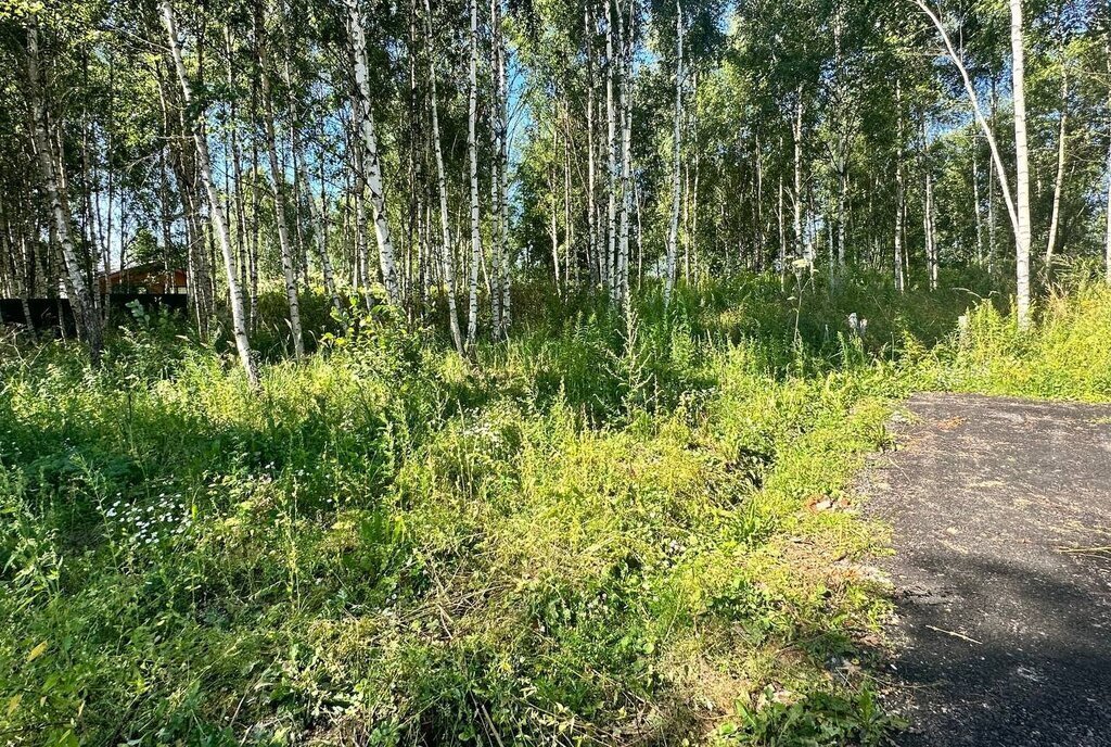 земля городской округ Дмитровский д Капорки Лобня фото 10