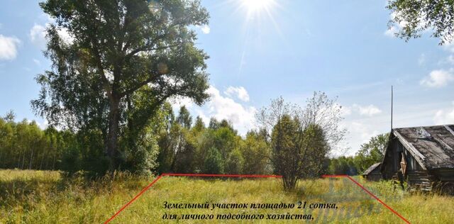 Бор городской округ, д. Волчиха фото